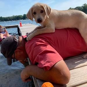 Meet your Posher, Laurie